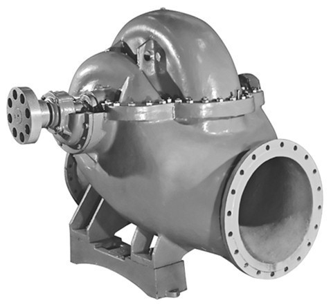 case_ptec58.jpg